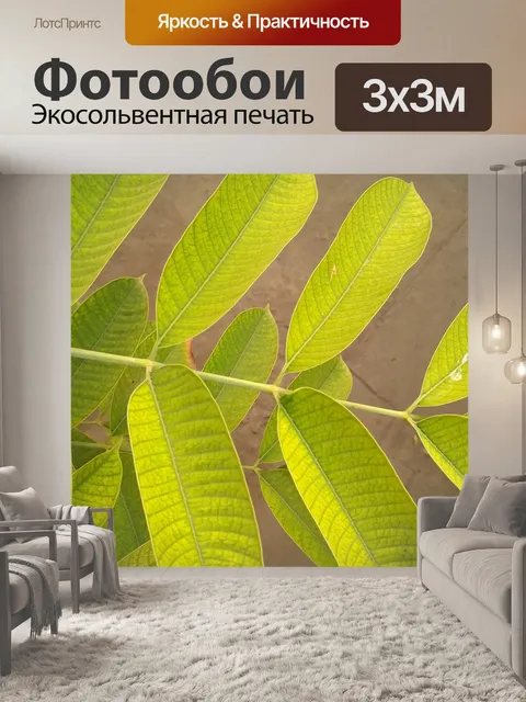 Фотообои Зеленые листья