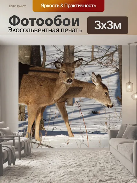 Фотообои годовалый палевый с лань