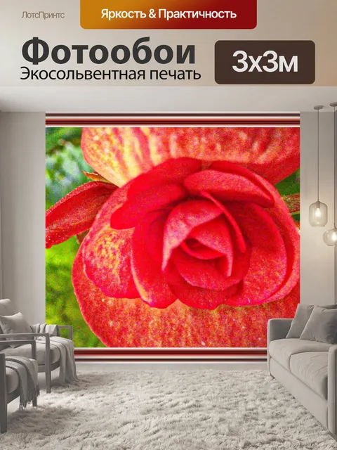 Фотообои красивый красный цветок