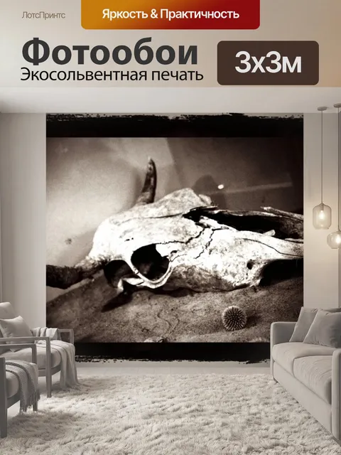 Фотообои Череп и Ежик Бог 2
