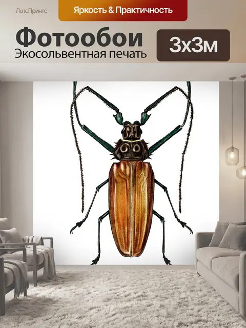 Фотообои Винтажное насекомое-жук