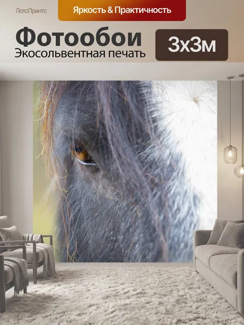 Фотообои Голова лошади