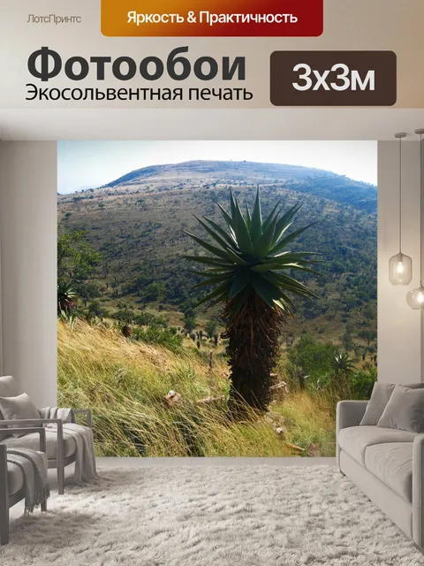 Фотообои горное алоэ на склоне холма