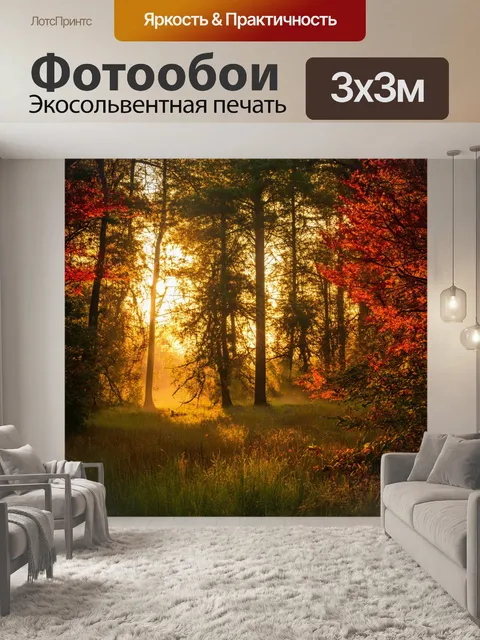 Фотообои закат в лесу, густые деревья с яркой листвой, солнечные лучи пробиваются сквозь ветки, мягкий свет заливает…
