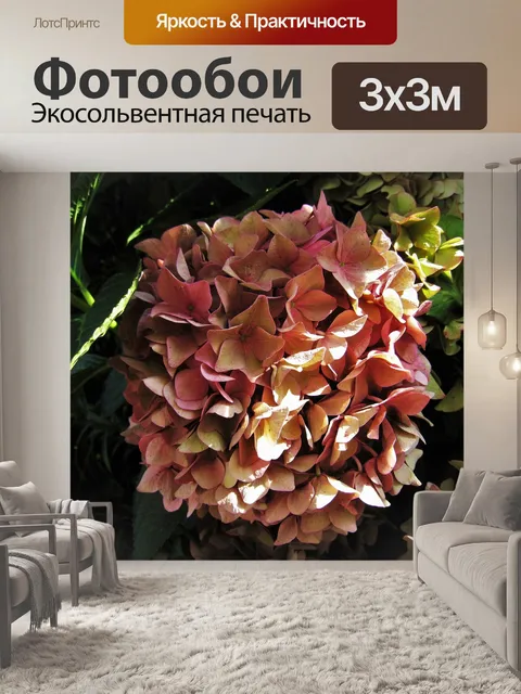 Фотообои Гортензия