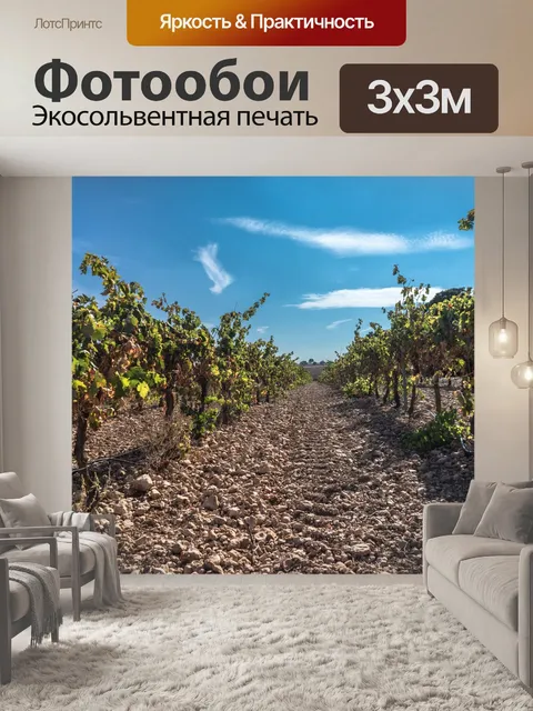 Фотообои Лоза
