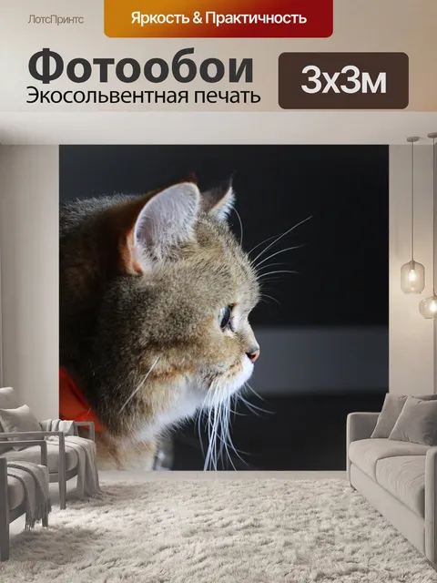 Фотообои Кошка