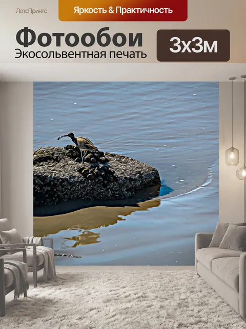 Фотообои Береговая птица кроншнепа