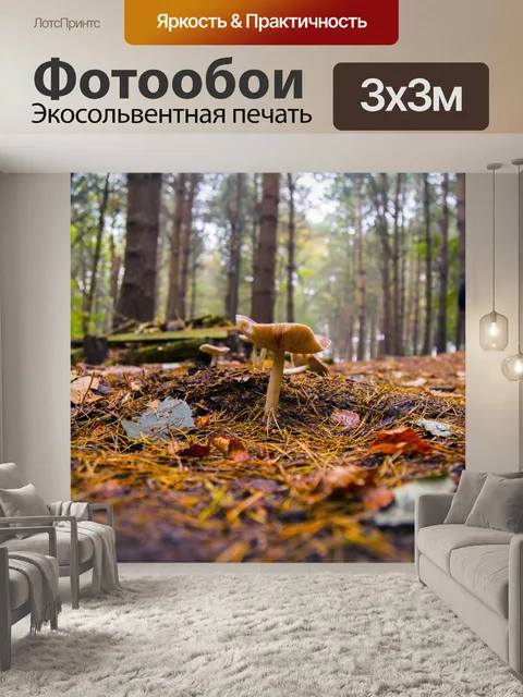 Фотообои грибы