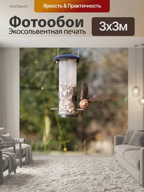 Фотообои Linnet