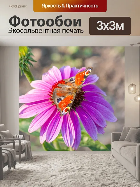 Фотообои Фиолетовый цветок