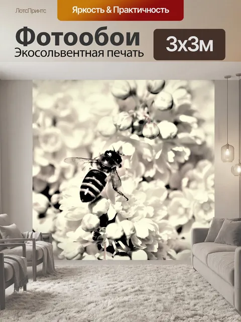 Фотообои Пчела
