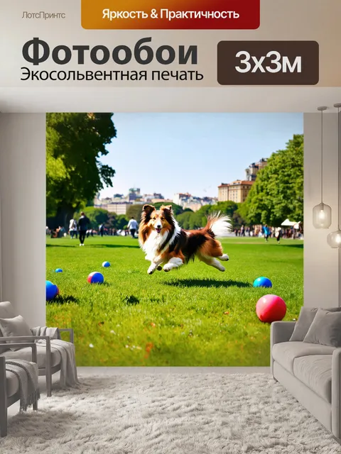 Фотообои шелти играет на зелёном лужайке, прыгая вокруг ярких мячиков