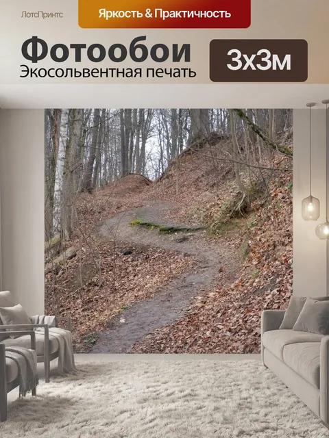 Фотообои осень, лес