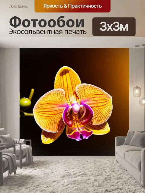 Фотообои орхидея, освещенная оранжевым светом заката, создающая золотой эффект