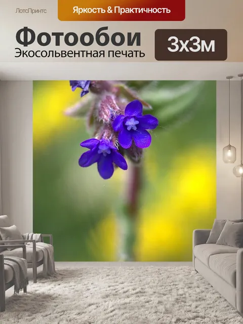 Фотообои Васильковый
