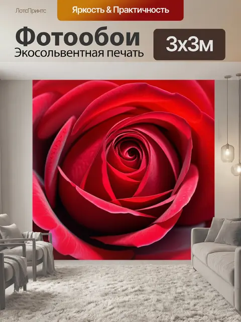 Фотообои с розой красной