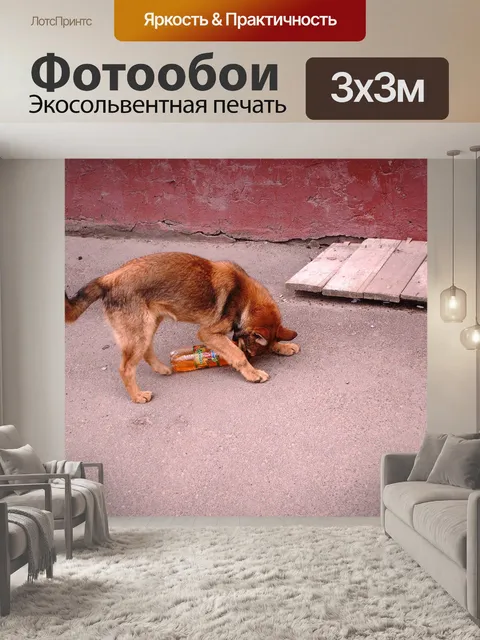 Фотообои Собака хочет пить