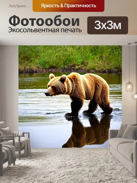Фотообои коричневый медведь, прогуливающийся по берегу реки, отражение его силуэта в воде