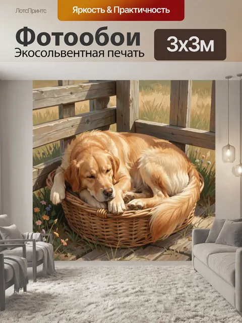 Фотообои Золотистый ретривер в корзине