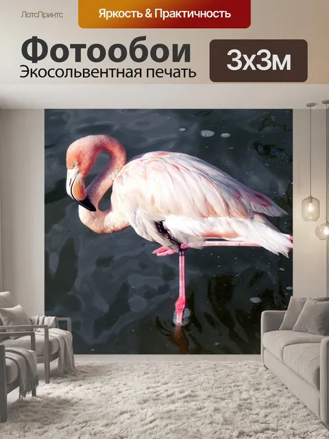 Фотообои Фламинго