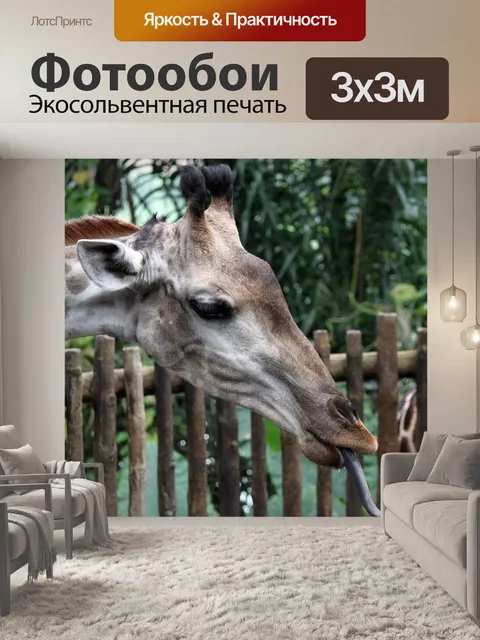 Фотообои Голова жирафа и язык