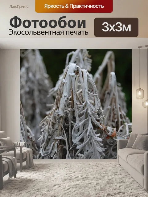 Фотообои Мороз