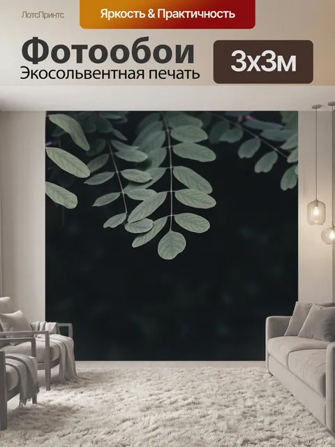 Фотообои Темный
