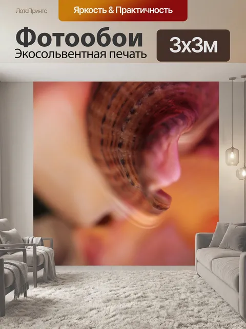Фотообои Фоновая оболочка вверх ногами