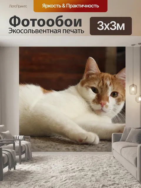 Фотообои Кошка