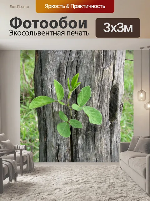 Фотообои Природа