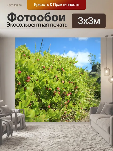 Фотообои Листья