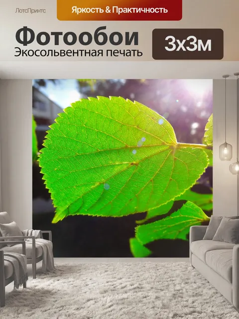 Фотообои Зеленый лист