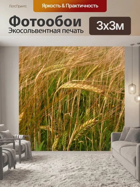 Фотообои Пшеница