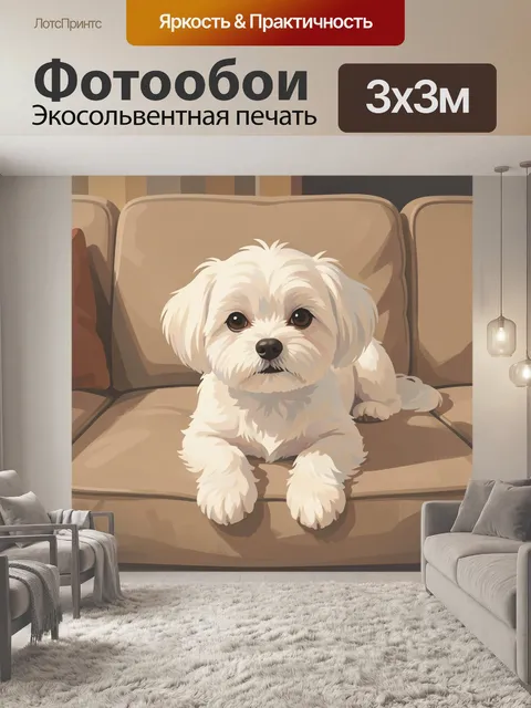 Фотообои Белая собака на диване