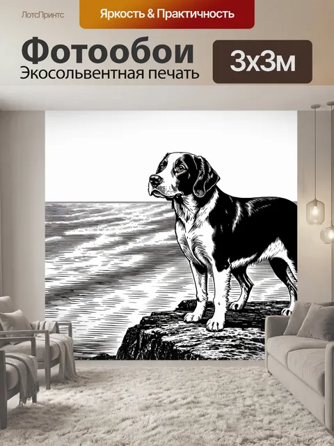 Фотообои английский спрингер спаниель стоит на краю утёса, смотря на бескрайний океан