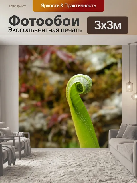 Фотообои Листья папоротника