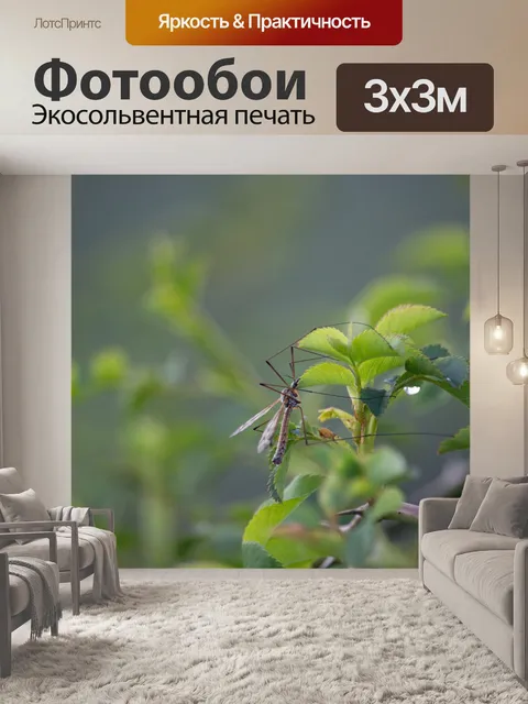 Фотообои Журавль