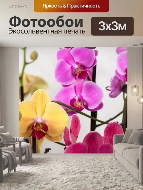 Фотообои Орхидеи