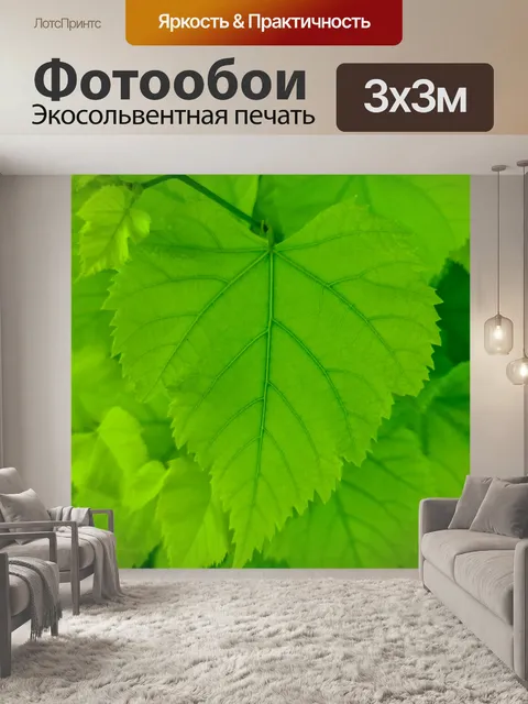 Фотообои Зеленые листья