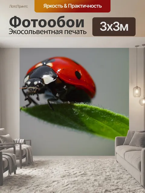 Фотообои Божья коровка на листе
