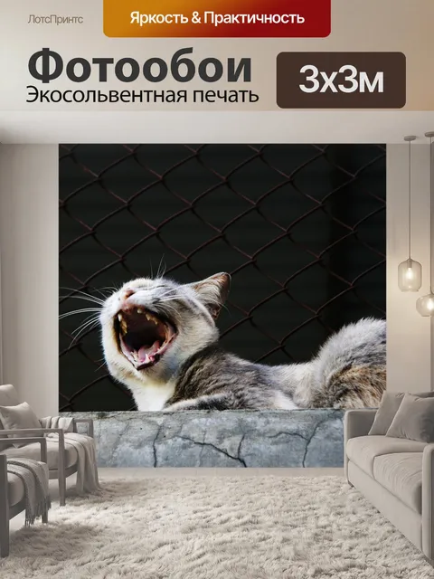 Фотообои Зевать