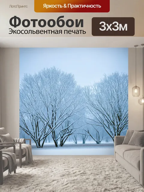 Фотообои замороженная природа, где нежные нижние ветви деревьев покрыты снегом и льдом