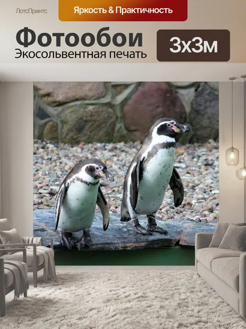 Фотообои Пингвины