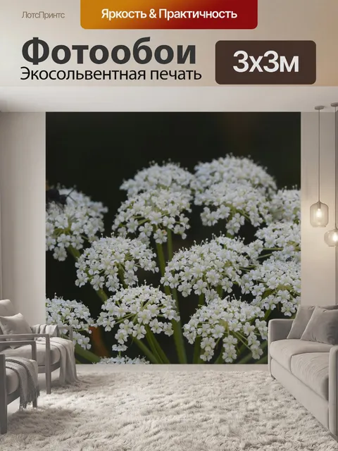 Фотообои Цветы