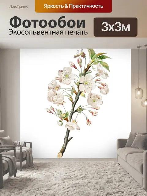 Фотообои Винтажный клипарт ветка сакуры