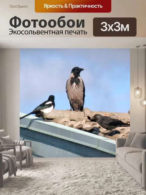 Фотообои Сороки, вороны и галки