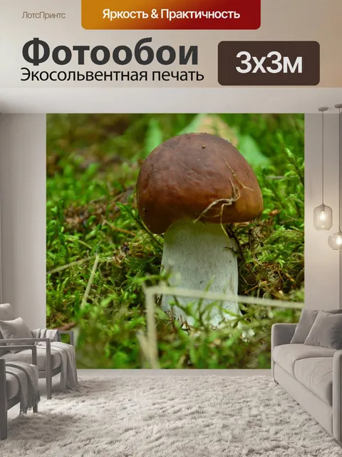 Фотообои Подберезовик