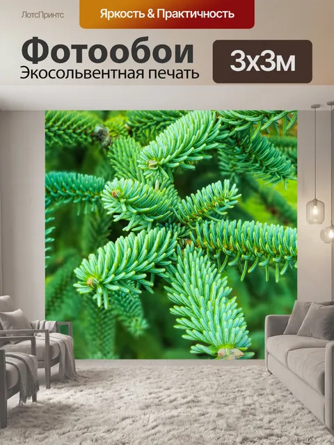 Фотообои Зеленая ветка сосны