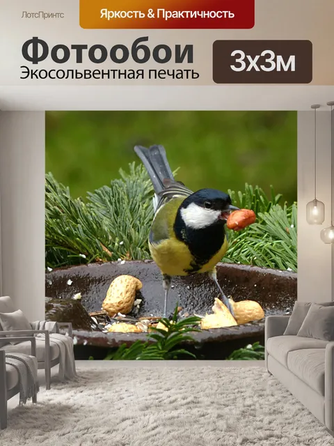 Фотообои Большая синица